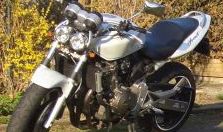 Hornet 600